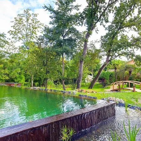 Sleeps 16 Pool Air Con Wifi * Taussat-les-Bains